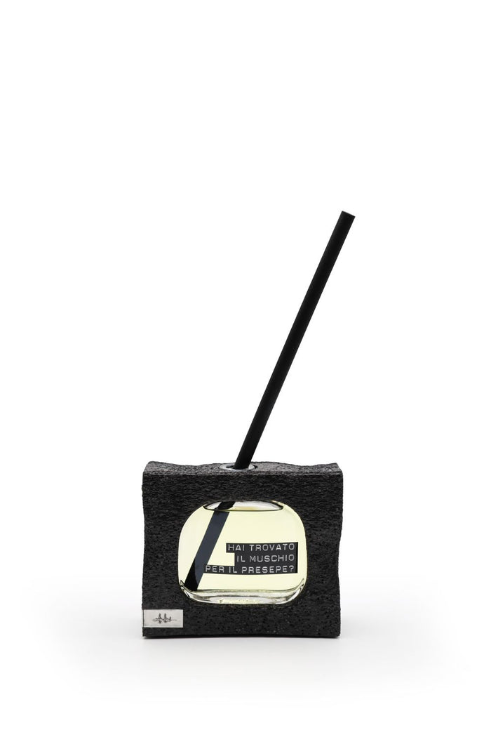 Hai trovato il muschio per il presepe?-7