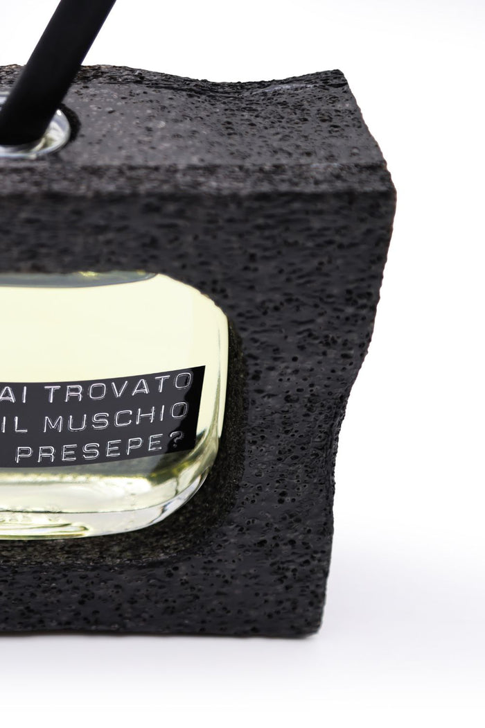 Hai trovato il muschio per il presepe?-6