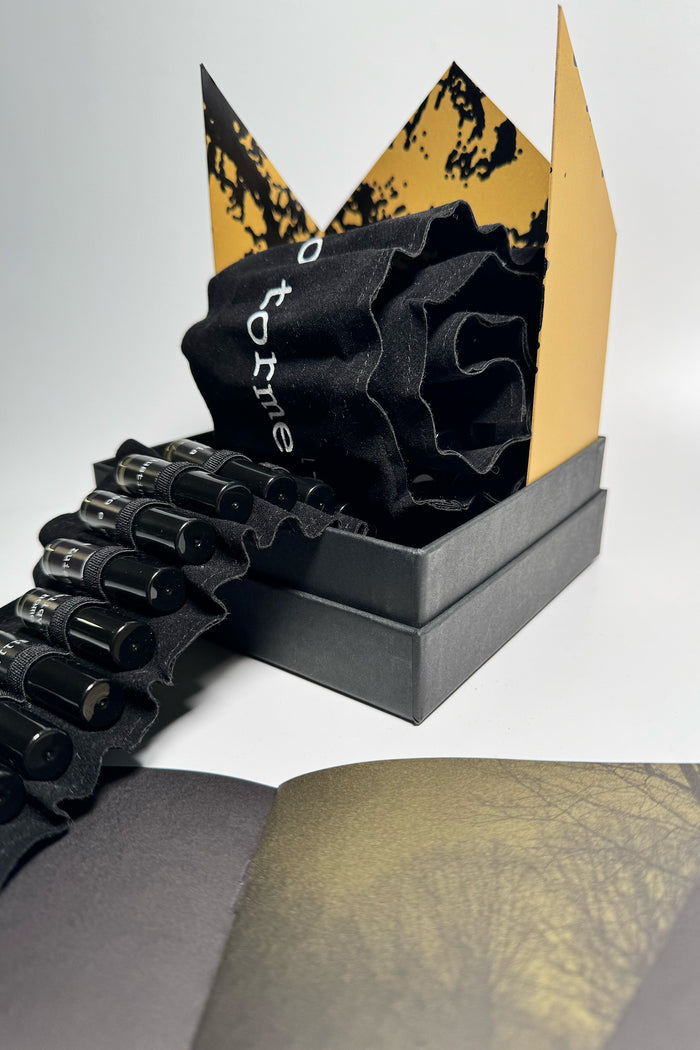 REVELATION BOX-7