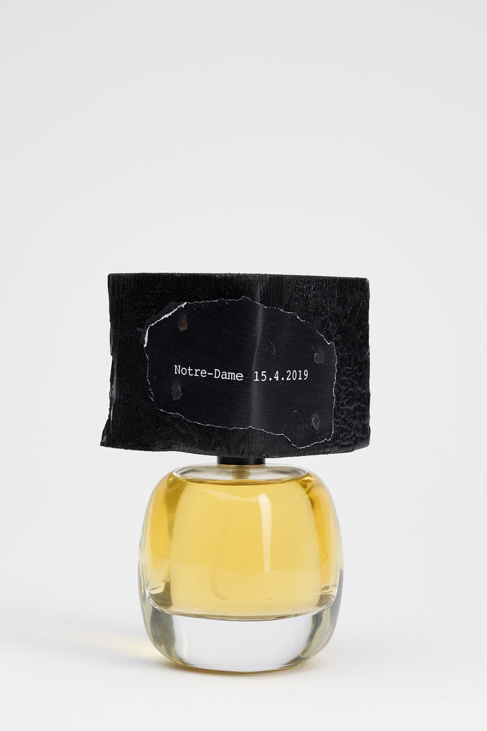 Notre-Dame 15.4.2019-3