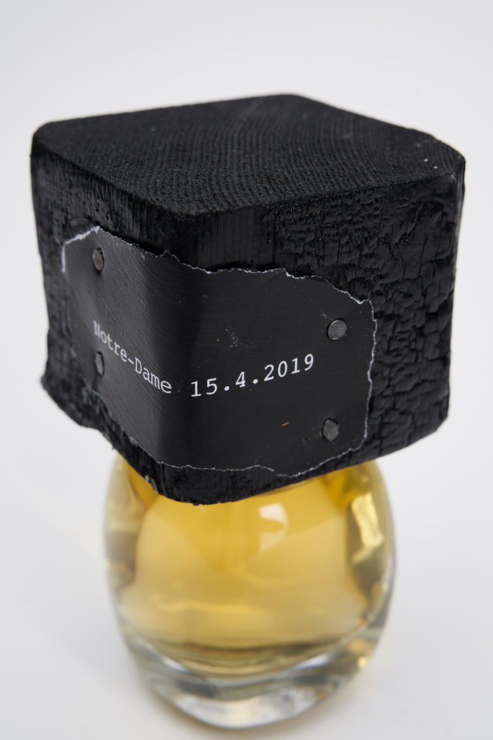 Notre-Dame 15.4.2019-8