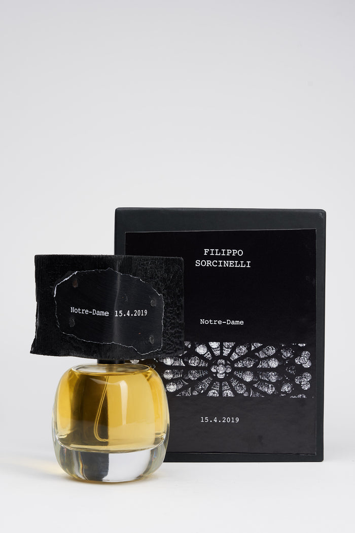 Notre-Dame 15.4.2019-7