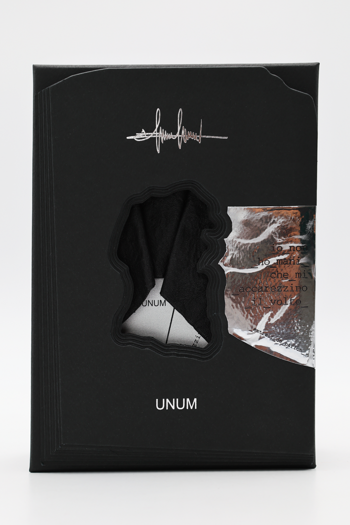 io non ho mani che mi accarezzino il volto-8