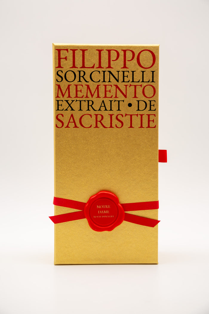 Notre Dame notte di Natale-6