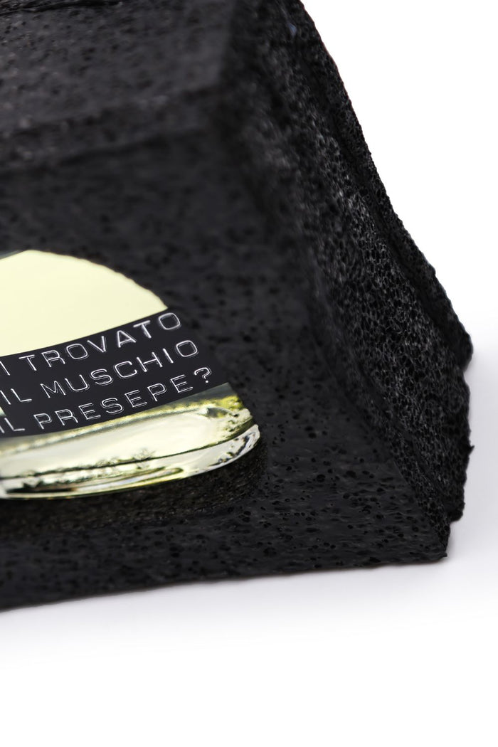 Hai trovato il muschio per il presepe?-10